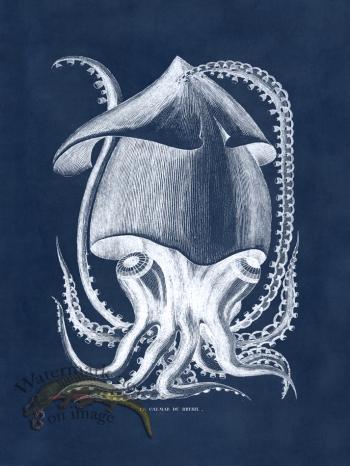 Octopus Blue 34